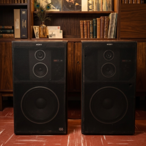 Sony Carbocon SS-G5